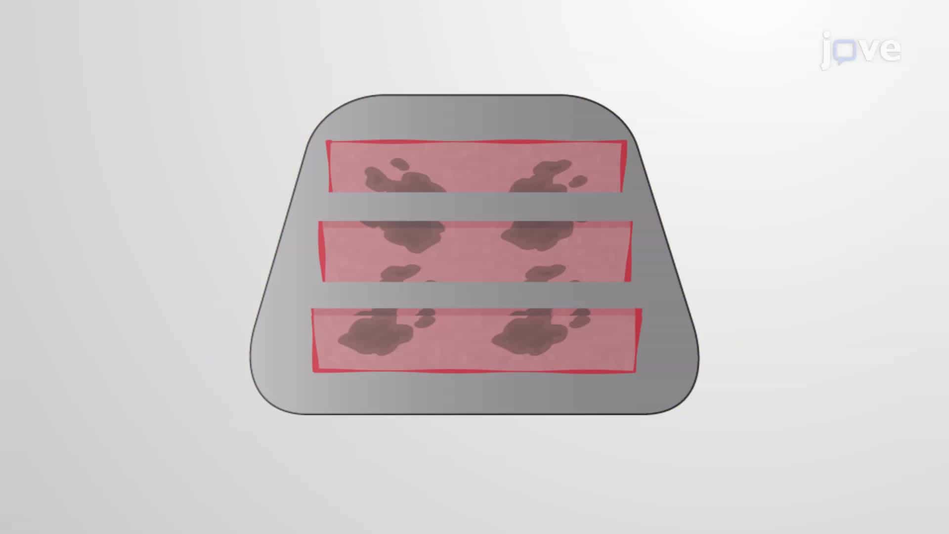 Frozen Skin Tissue Block Preparation: A Protocol to Preserve Cutaneous Melanoma Samples from Murine Dorsal Skin