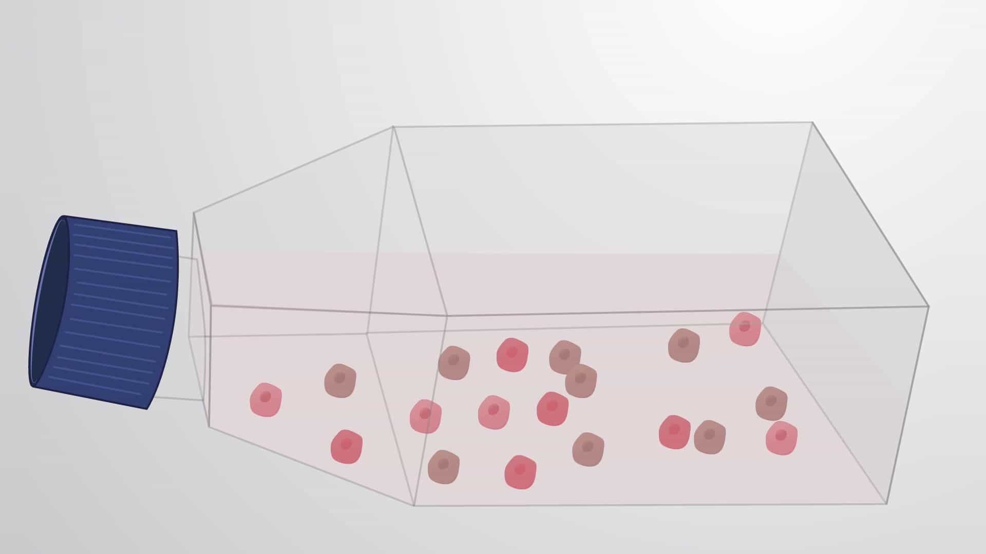 Generating Chemoresistant Prostate Cancer Cells: A Procedure for Obtaining Drug-resistant Cancer Cells In Vitro