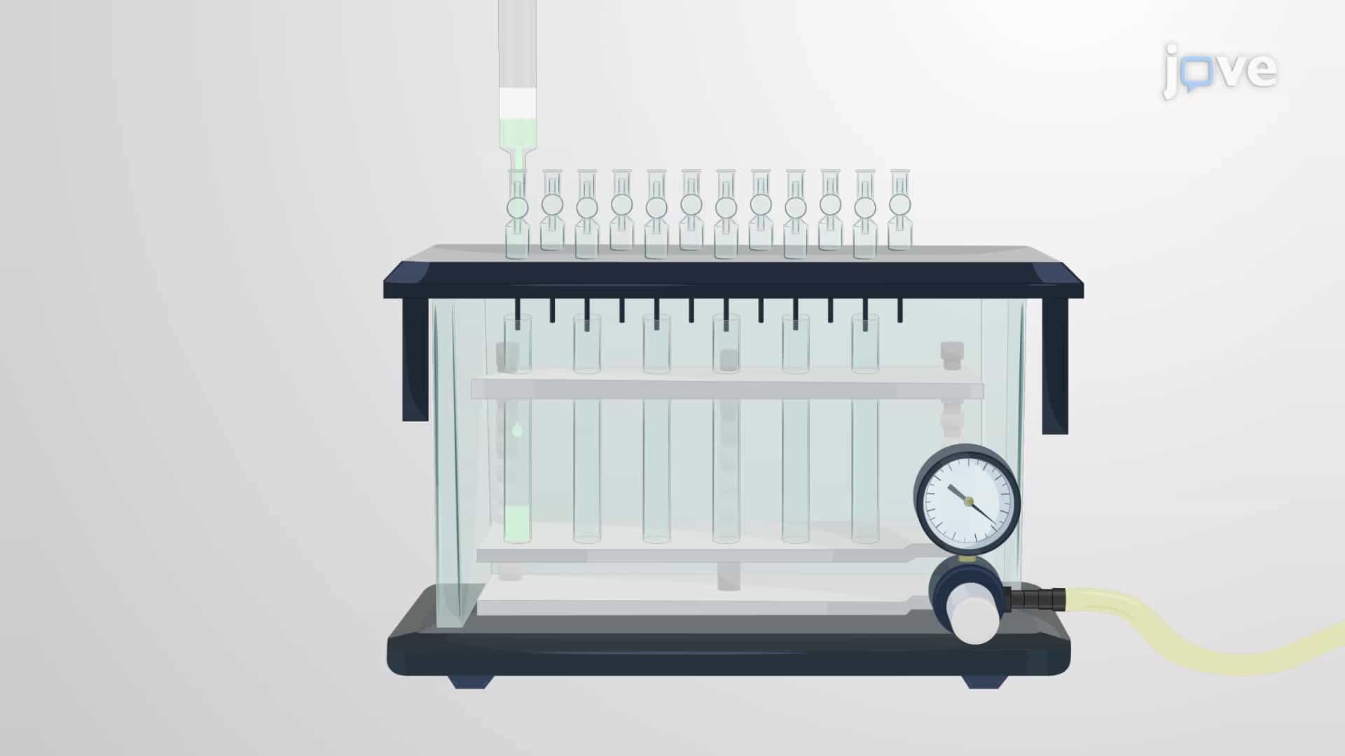 Peptide Purification: An RP-HPLC-based Technique to Extract Peptides from Digested Protein Lysates