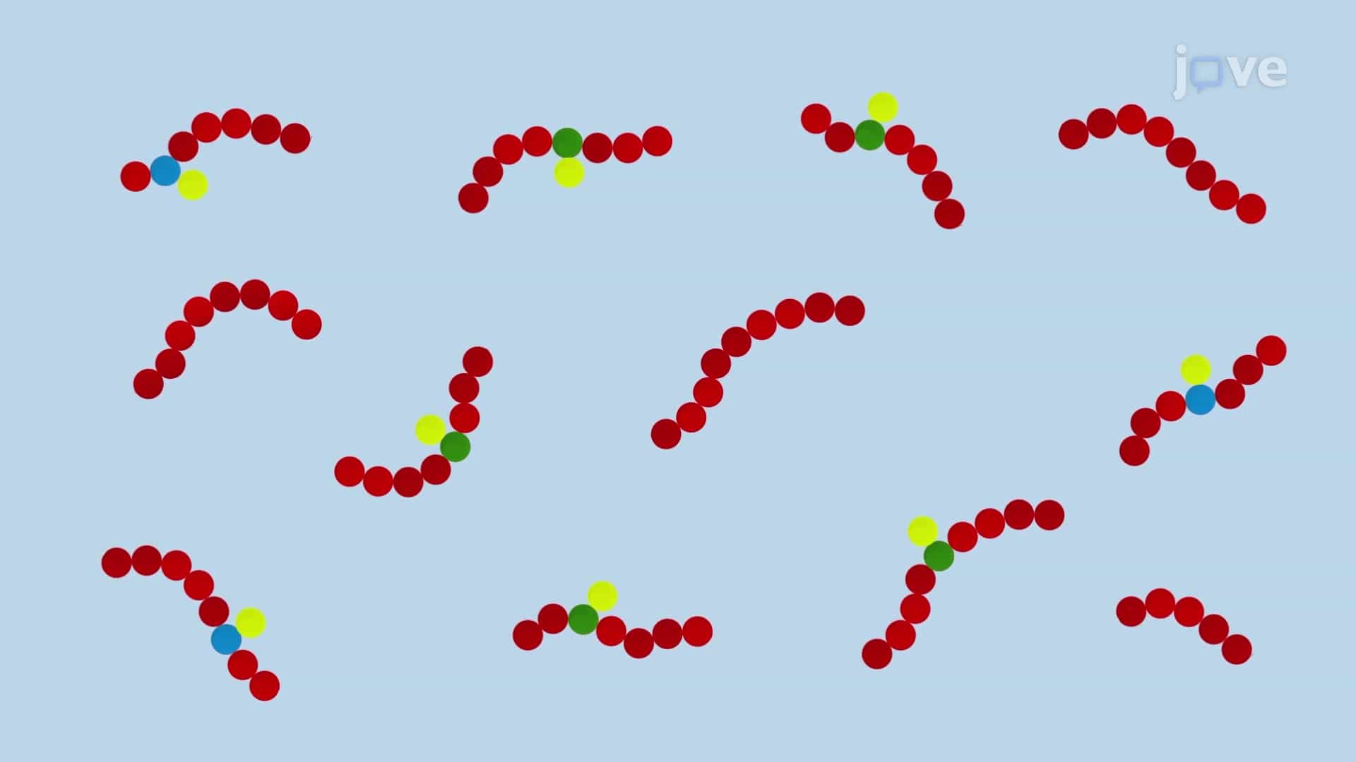Phosphopeptide Enrichment: An Antibody-based Immunoprecipitation Technique to Separate Specific Phosphorylated Peptides from Complex Peptide Mixtures