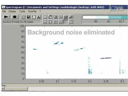 Assessment of Ultrasonic Vocalizations During Drug Self-administration in Rats