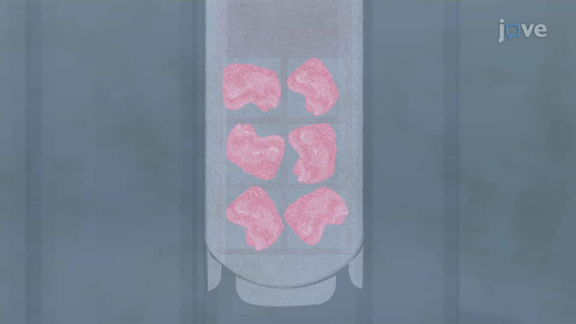 Vitrification-based Cryopreservation: An Ultra-rapid Cooling Technique to Preserve Biological Specimens at Very Low Temperatures for Long-term Storage