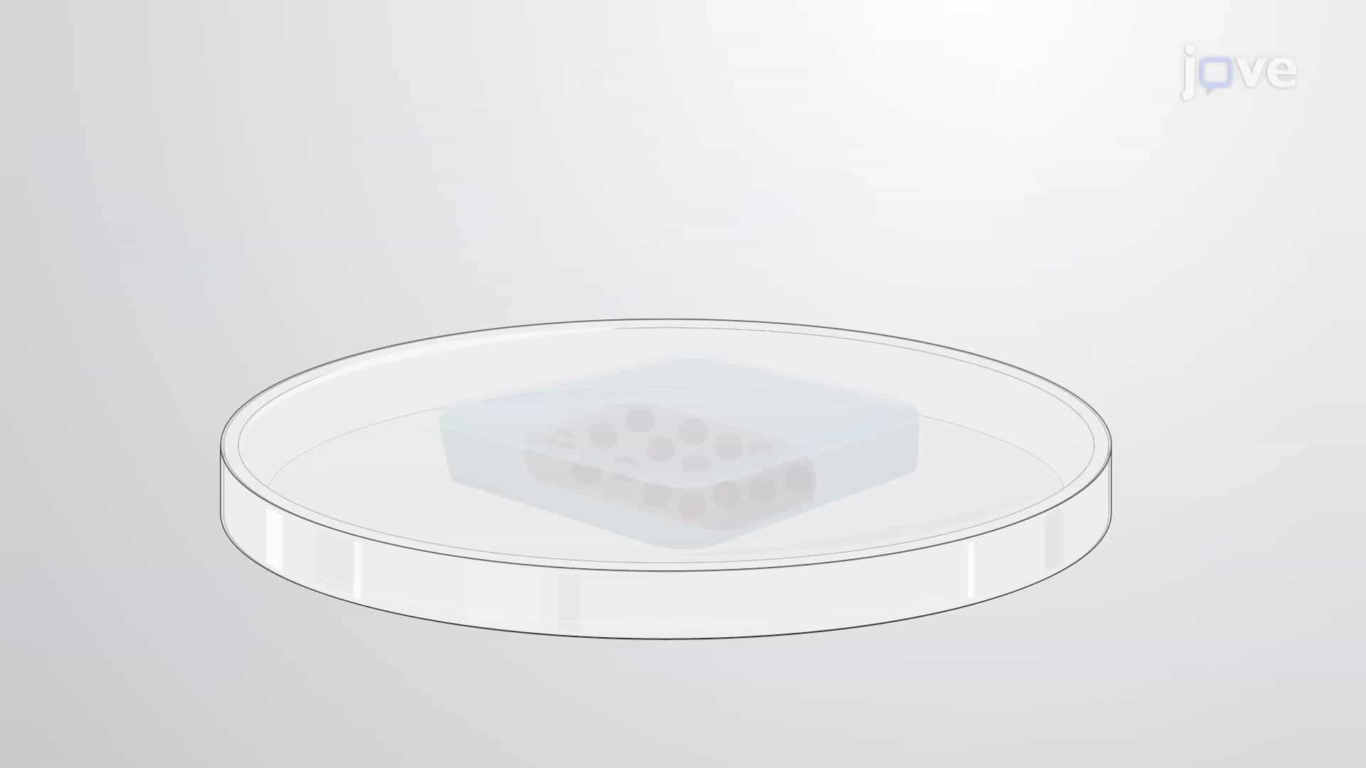 Preparation of Cancer Spheroid Blocks by Flash Freezing: A Procedure To Preserve Cancer Spheroids in Frozen Matrix Blocks