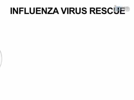 Generation of Recombinant Influenza Virus from Plasmid DNA