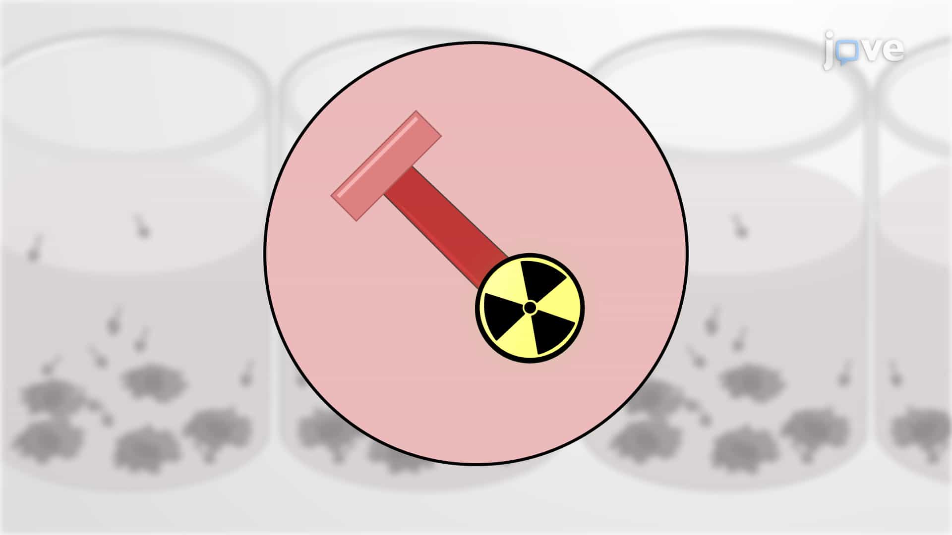 DNA Synthesis Assay: A Technique to Assess DNA Synthesis in Proliferating Cells Using Radioactive Tritiated Thymidine Incorporation