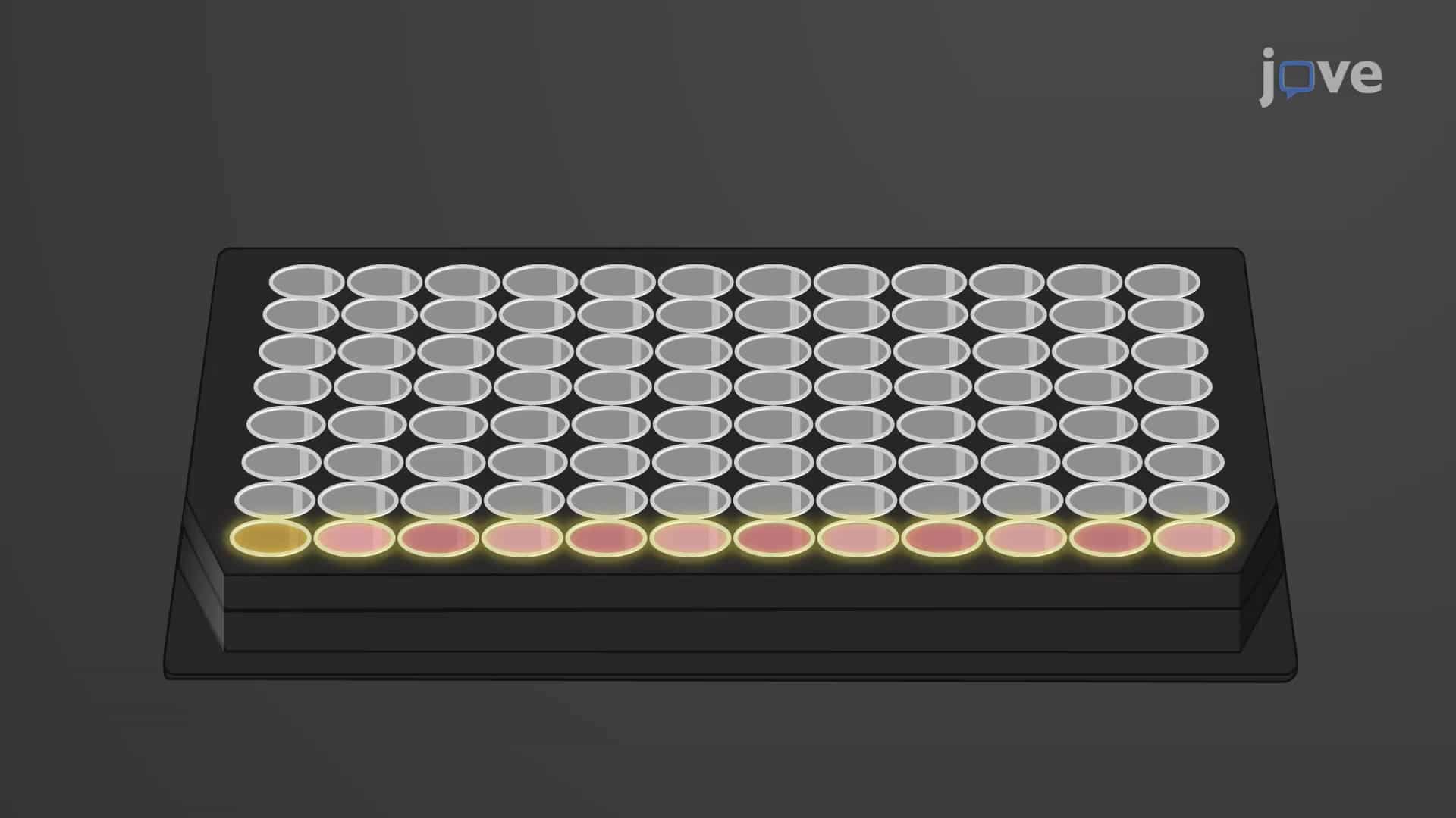 Blood-Brain Barrier Mimic Permeability Assay: An In Vitro Assay to Assess the Permeability of BBB Mimic to Tracer Molecules