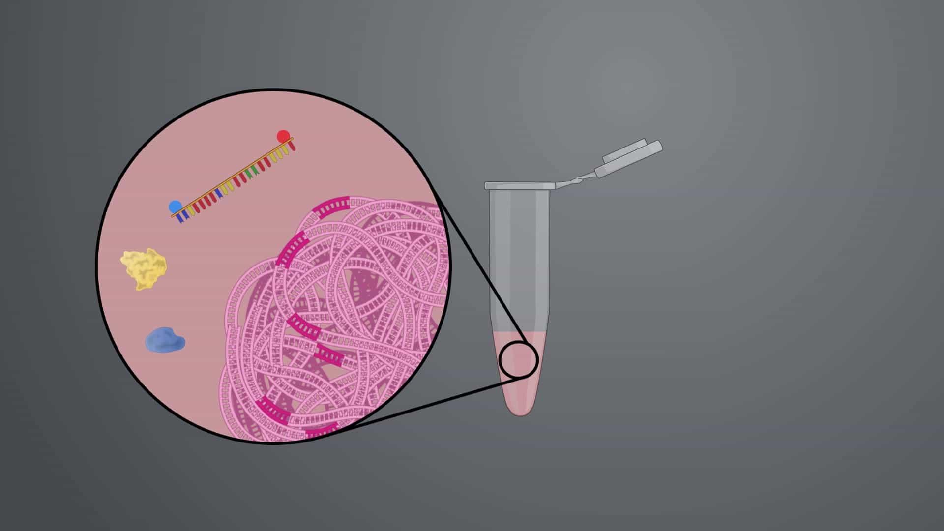 Droplet Digital Polymerase Chain Reaction: A Method to Generate Nanodroplet PCR Reactions for Detecting Rare Tumor Mutations