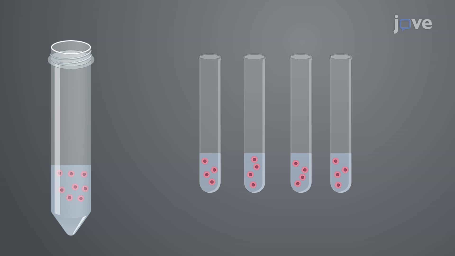Fluorescent Labeling of Glioma Cells: A Lentiviral Vector-based Transfection Method to Obtain Glioma Cells Expressing Fluorescent Protein for Deep Tissue Imaging