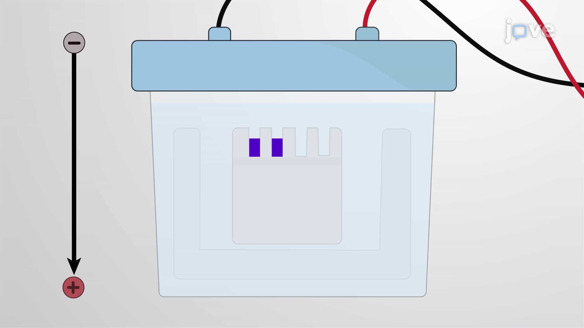 Fluorescent Peptide Zymography: A Modified Technique to Detect Protease Activity Using Fluorogenic Substrates in Zymogram Gels