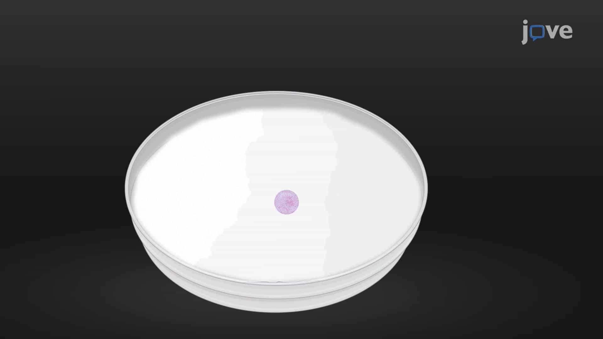 Liquid Marble Microbioreactor System: A 3D Culture Protocol for Encapsulation of Porcine Oocytes