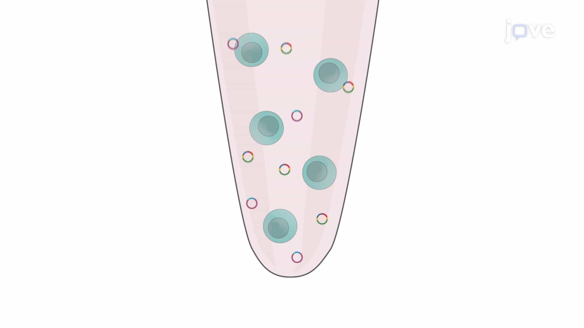 PiggyBac Transposon-Mediated Gene Editing in Human iPSCs: A Procedure to Integrate Gene of Interest in Human iPSCs Using PiggyBac Transposon System