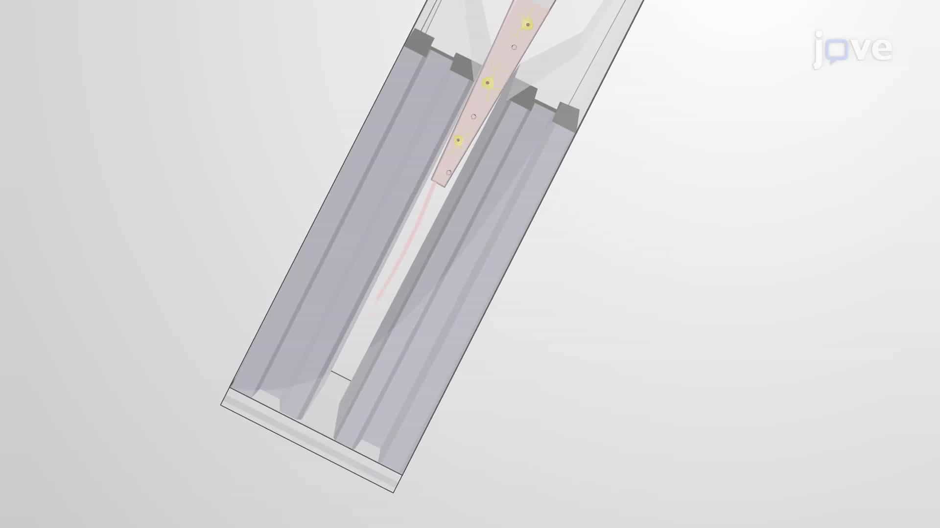 Electroporation-Mediated In Vitro Gene Delivery: An Electric Pulse Technique to Introduce Fluorescent Reporter Protein-Encoding Plasmids Into Cultured Cells