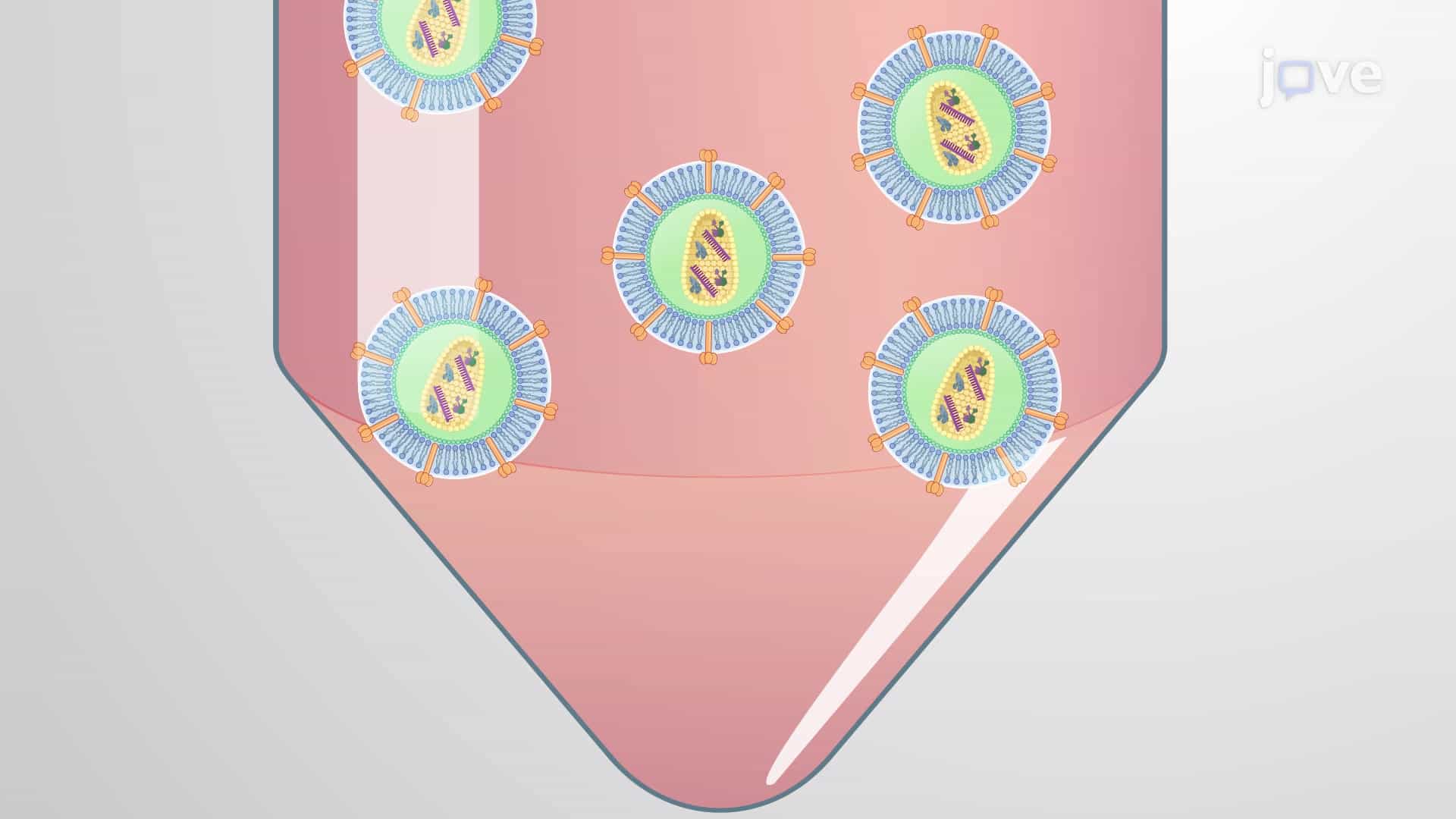 Retroviral Mediated Gene Transduction: A Gene Transfer Technique to Deliver a Transgene in Cultured Cells Using Engineered Retroviral Vectors