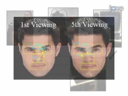 Eye Movement Monitoring of Memory