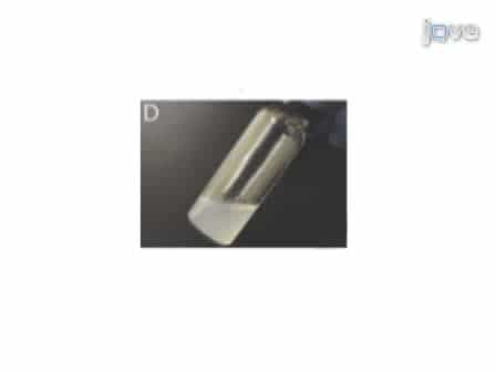 Fabrication of Biologically Derived Injectable Materials for Myocardial Tissue Engineering