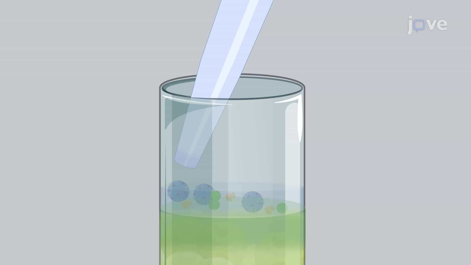 Size Exclusion Chromatography Based Separation of Bacterial Extracellular Vesicles: A Technique to Separate Heterogenous Population of Gram-Negative Bacterial Outer Membrane Vesicles Based on Their Size
