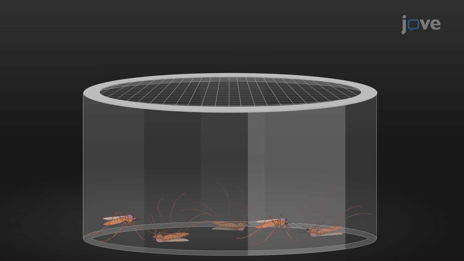 Topical Testing Assay: A Technique to Evaluate the Insecticidal Potential of Dopamine Receptor Antagonists on Adult Female Mosquitoes by Topical Application