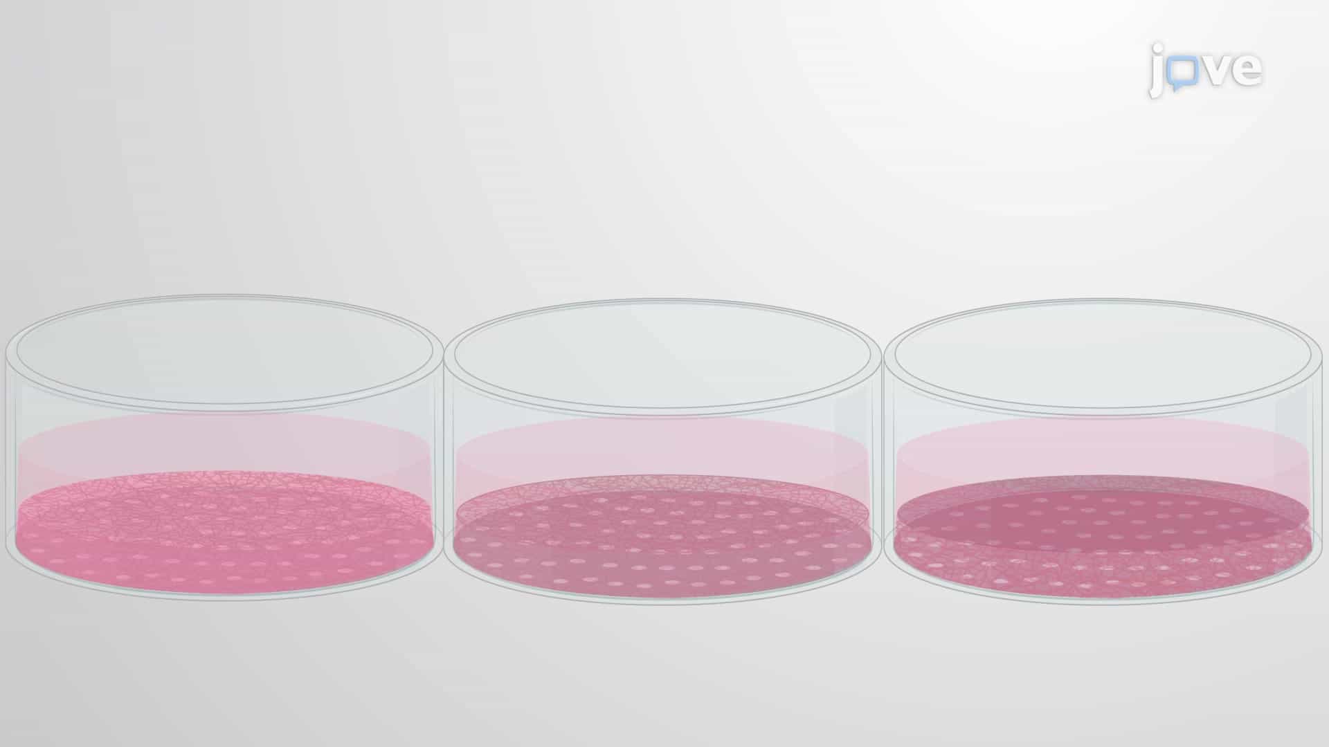 Insoluble Chromogenic Biomass-Based Enzyme Screening: An Assay to Evaluate the Degradation Activity of Plant Biomass-Degrading Enzymes