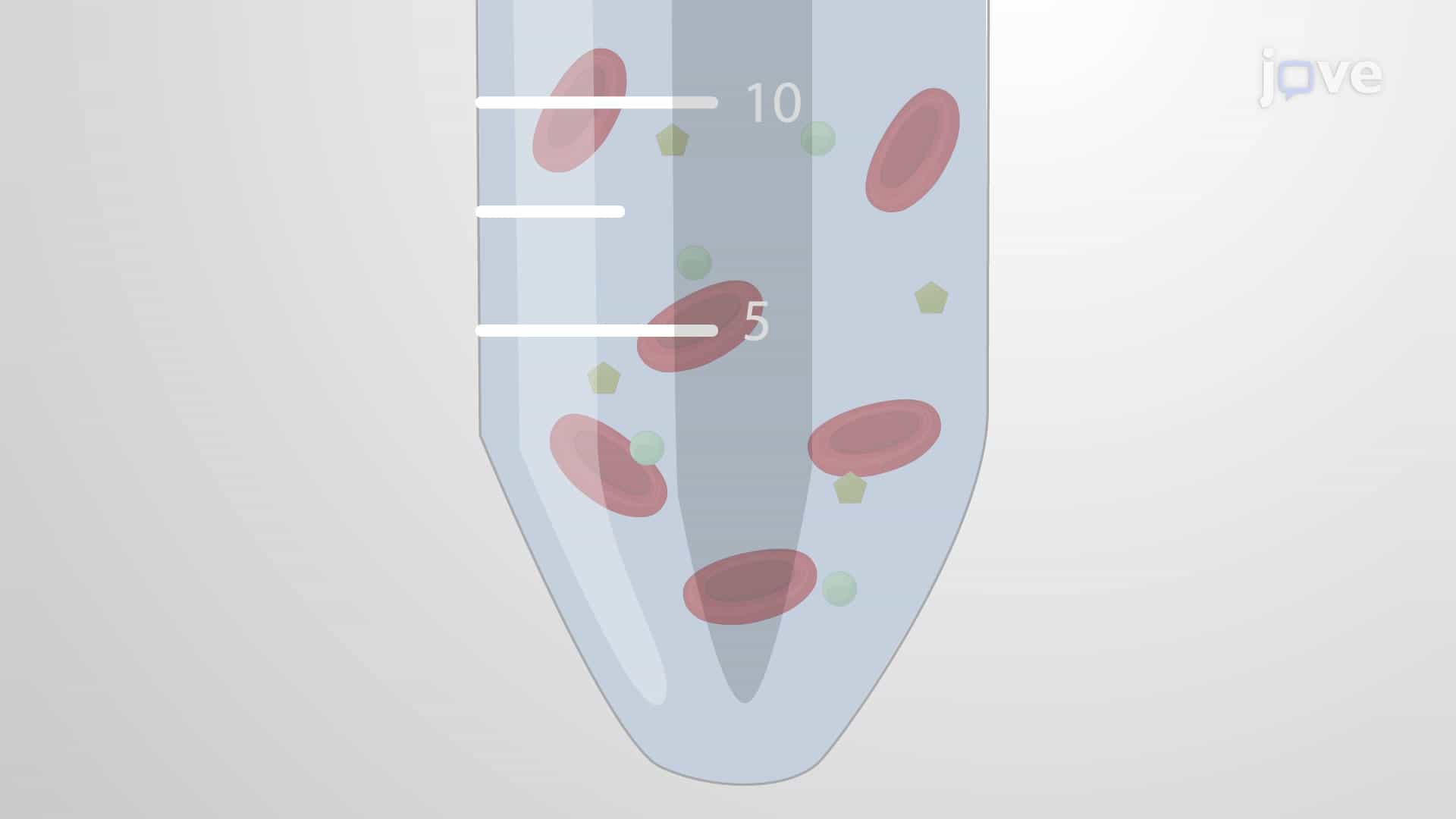 Hemolysis Assay: An In Vitro Method to Measure Calcium Ionophore-Induced Lysis in Human Erythrocytes