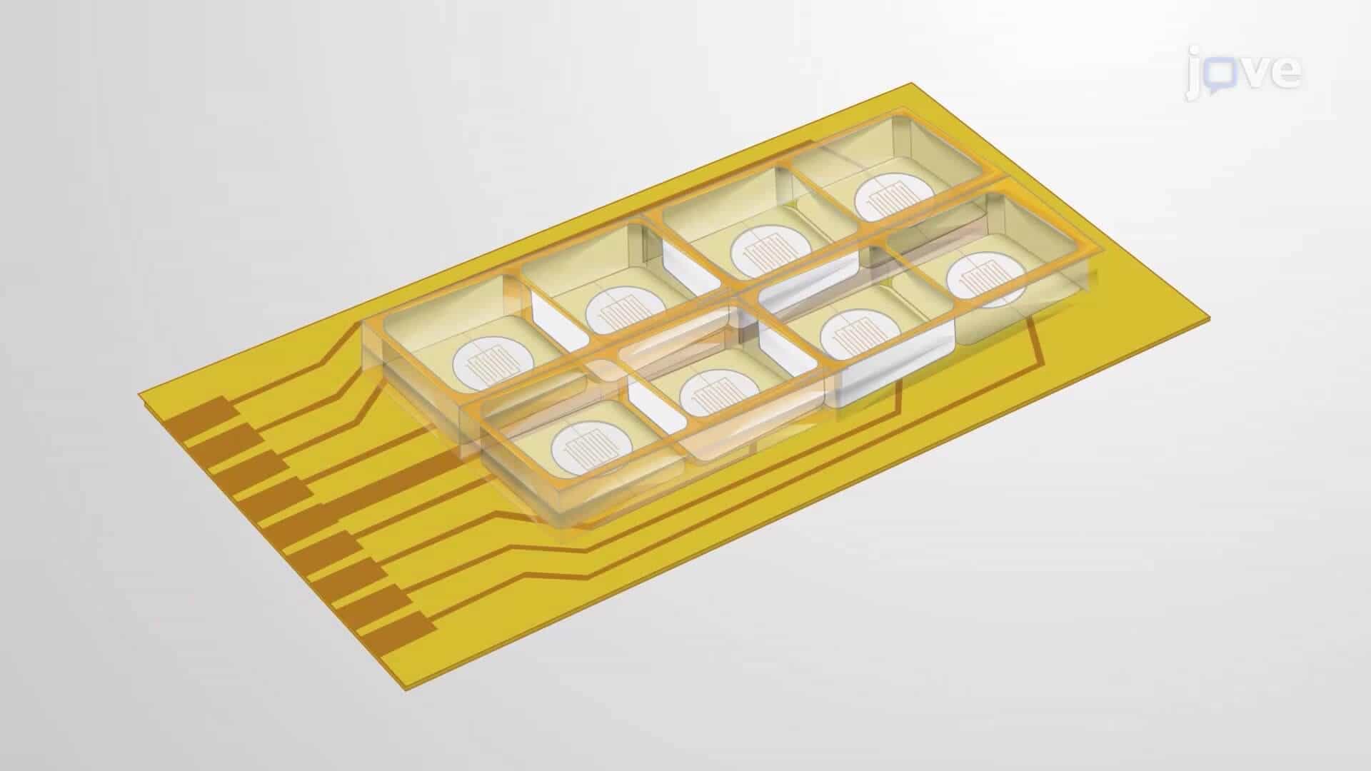 Measuring SMC Contraction In Vitro: A Non-Invasive Method to Evaluate Smooth Muscle Cells Contraction using Electric Cell-Substrate Impedance Sensing