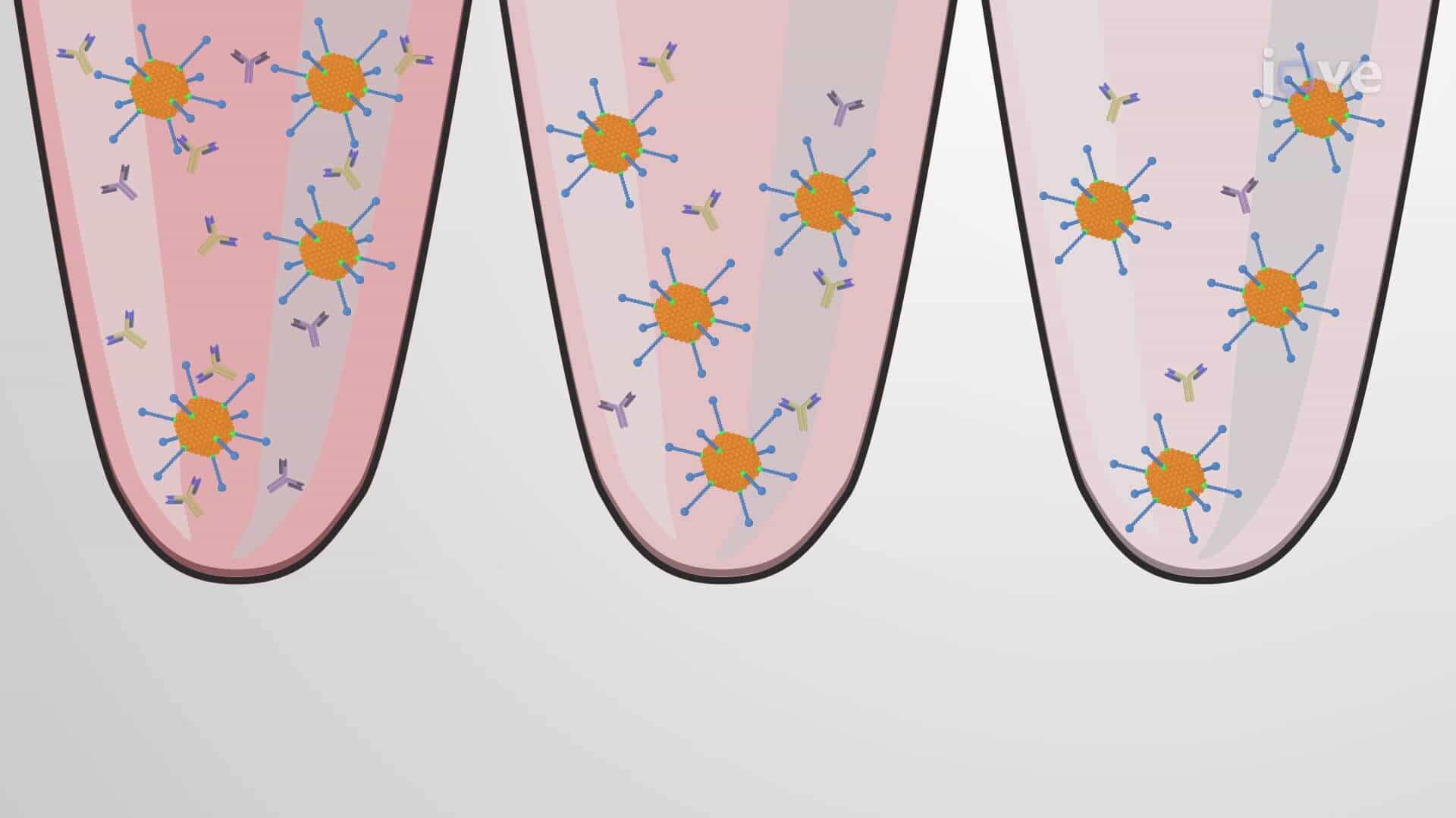 Cell-Based AAV Neutralizing Antibody Assay: A Colorimetric Technique to Detect Neutralizing Antibodies Against Specific Adeno-Associated Viruses in Serum