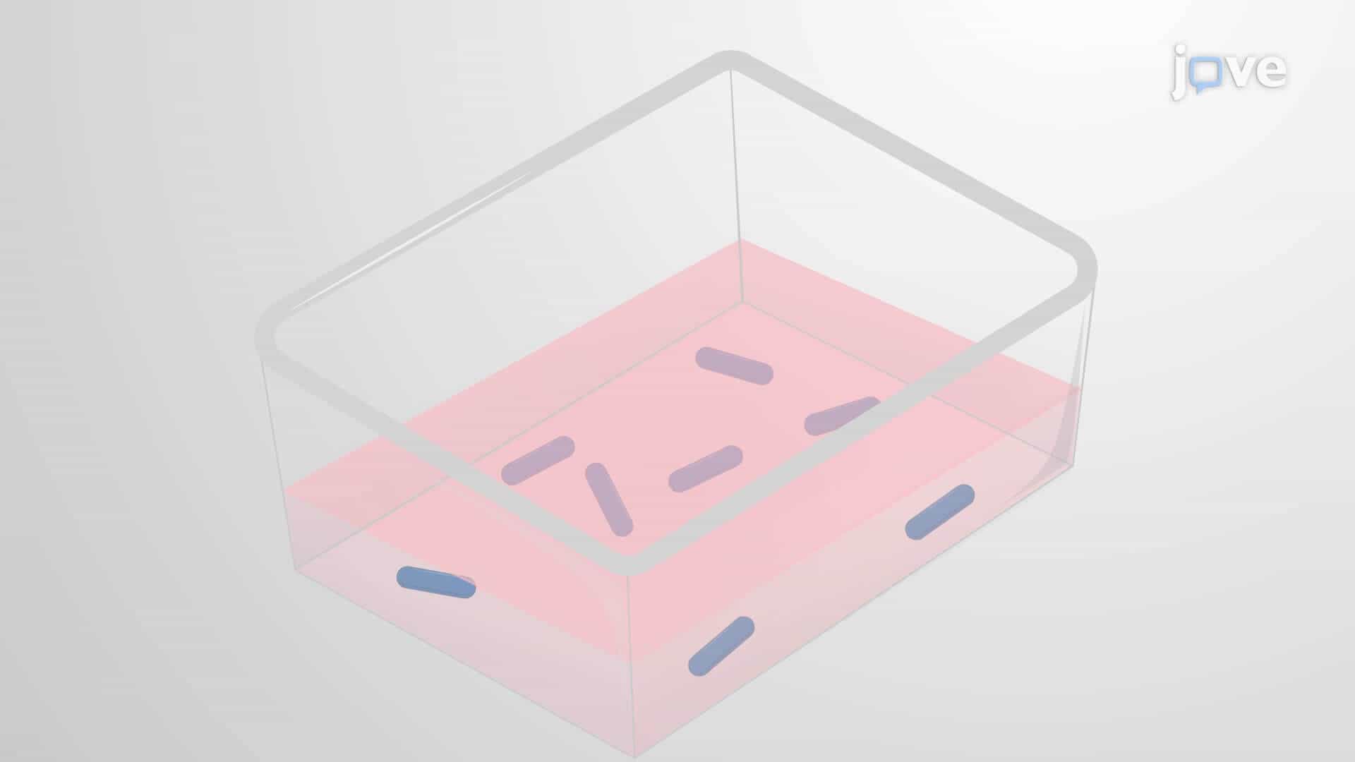 In Vitro Persister Assay: A Method to Evaluate the Effect of Osmolytes on Bacterial Persistence