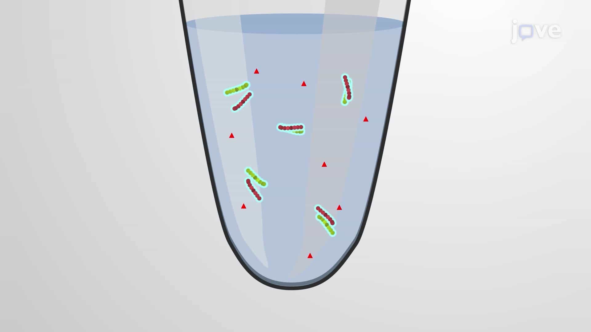 Soluble Protein Assay to Quantify Soluble Protein Content in Plant Tissues
