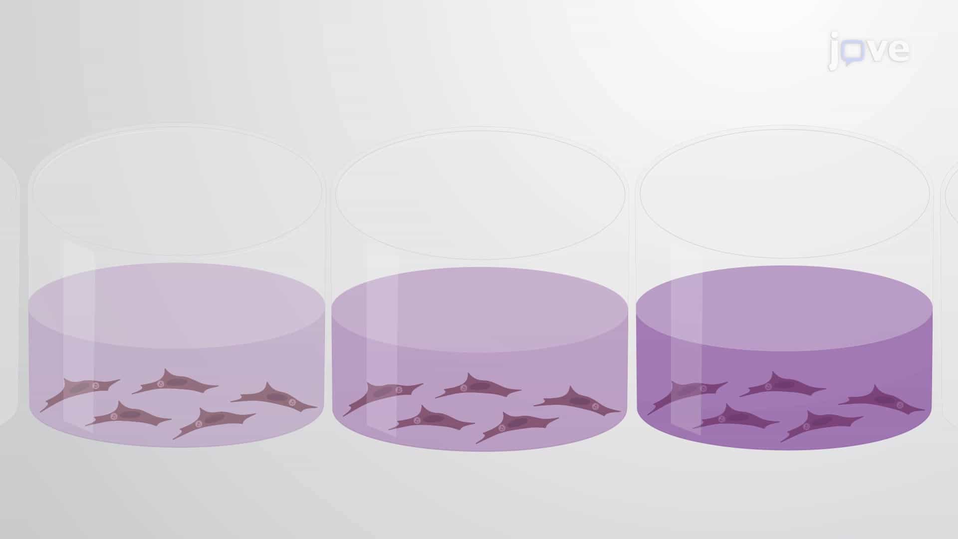 Luciferase Assay to Study Efficacy of Antiparasitic Chemicals Against Parasites