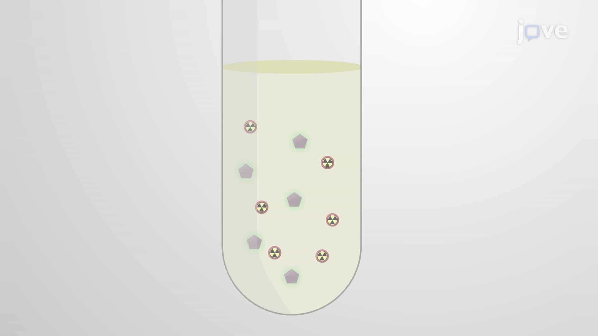Radiolabeled Amino Acid Uptake Assay to Quantify Cellular Uptake of Amino Acids