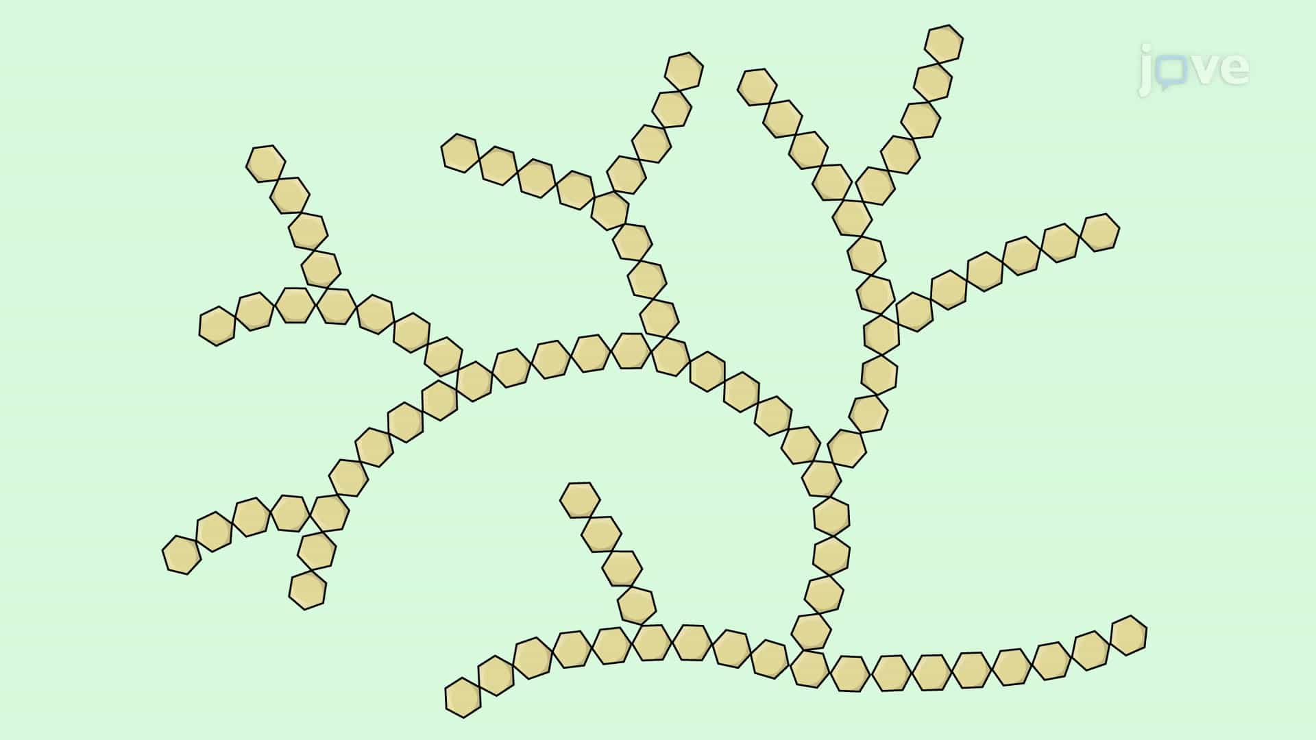 Glycogen Branching Assay to Measure the Degree of Glycogen Branching