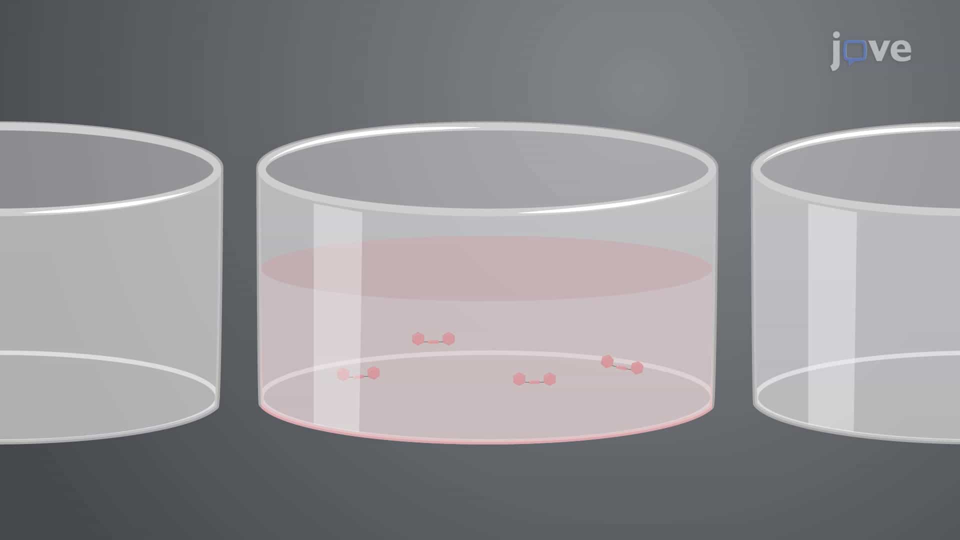Thiobarbituric Acid-Reactive Substances Assay to Assess Oxidative Stress in Human Serum