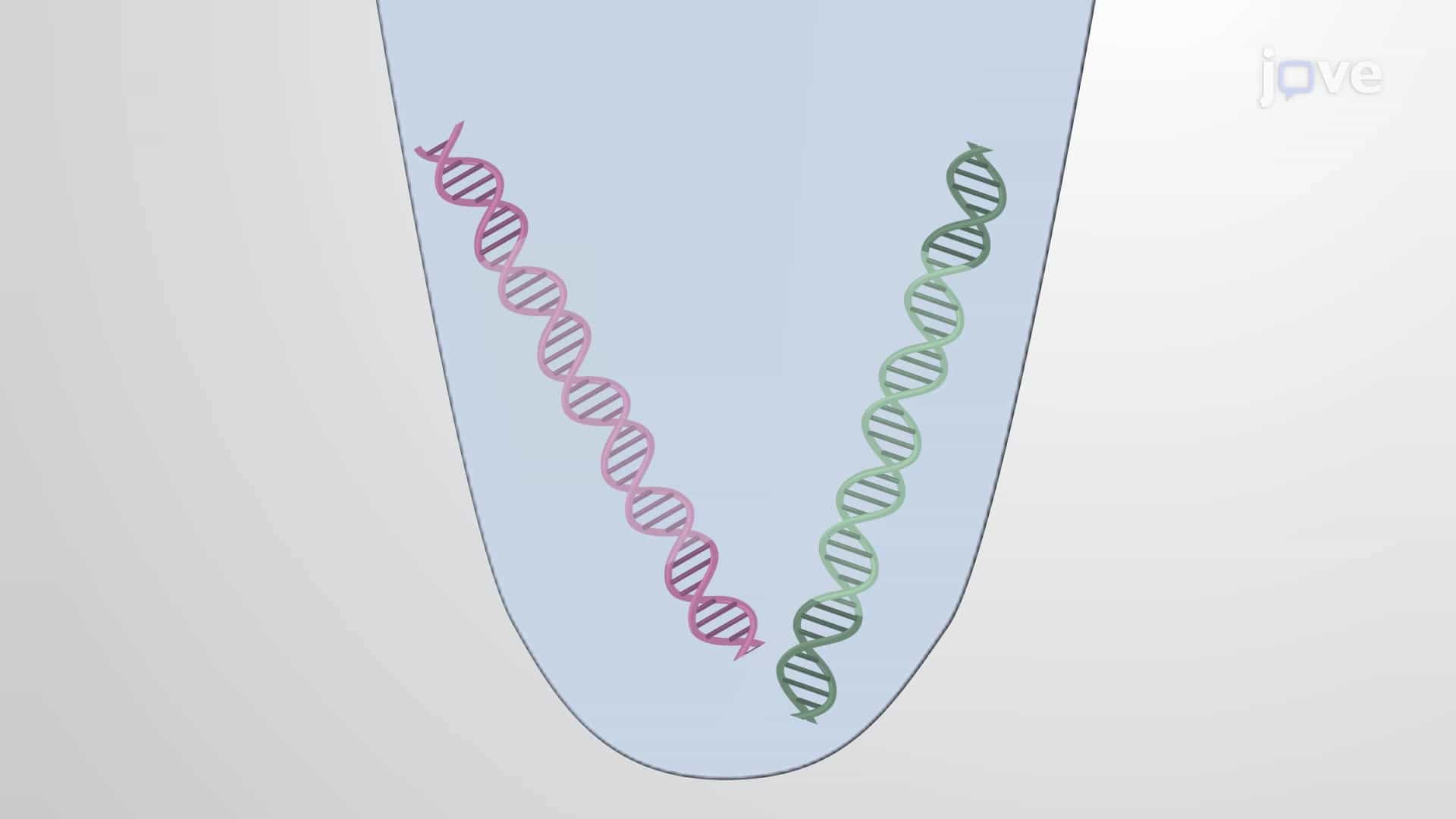 Duplex Digital PCR for Simultaneous Quantification of Dual Genetic Markers