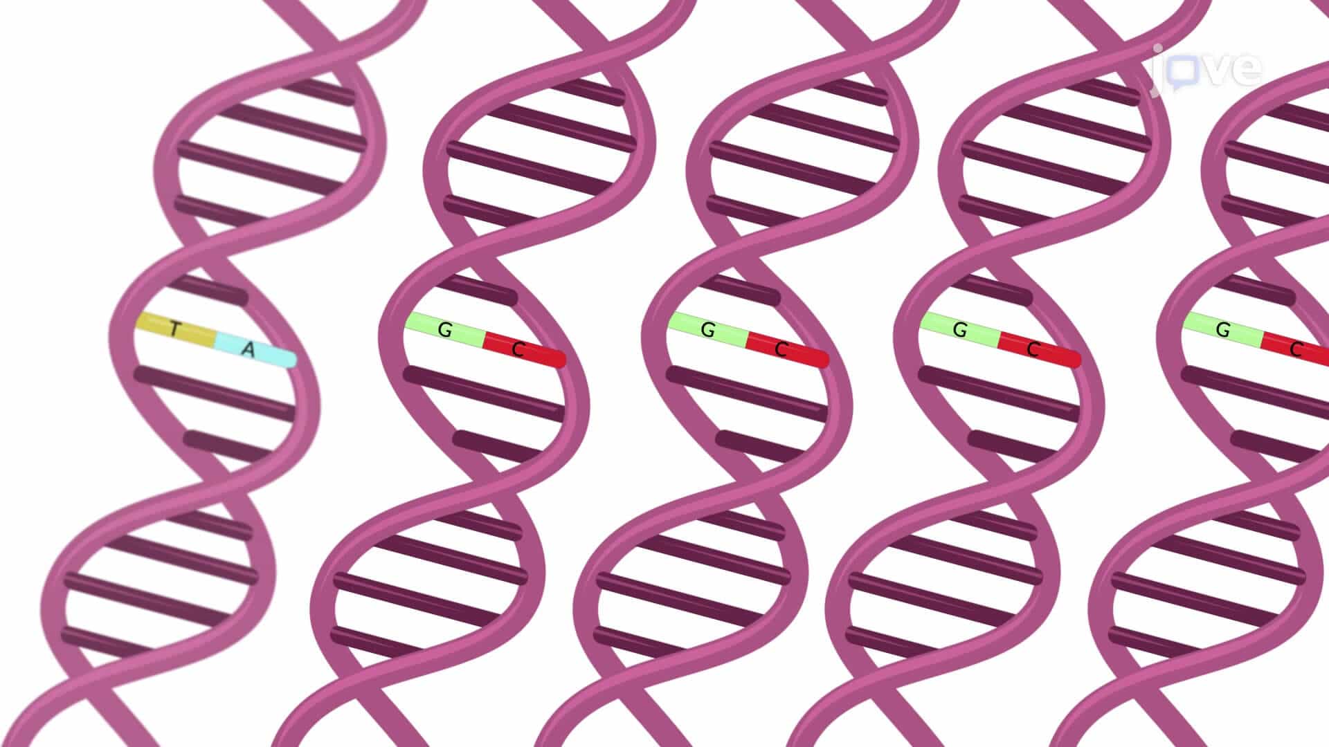 Wild-Type Blocking PCR to Detect Low-Frequency Somatic Mutations