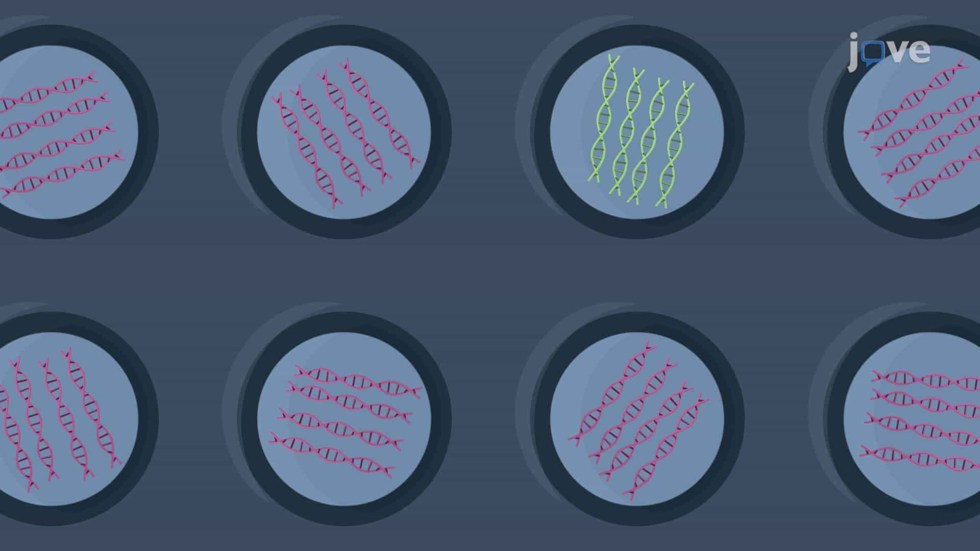 Chip-Based Digital PCR to Detect Rare Transcript Variants Using a Nanofluidic Chip