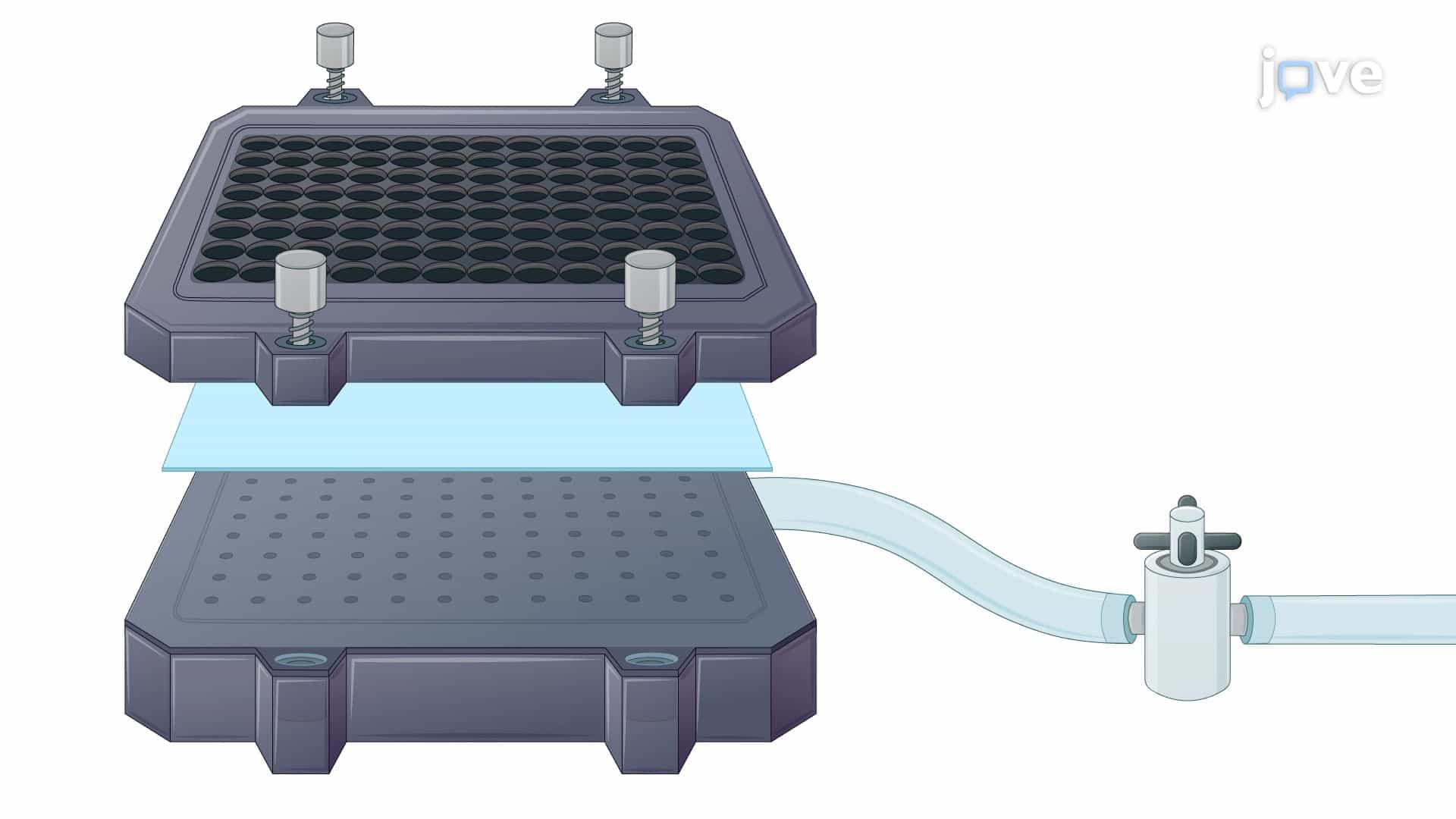 Dot Blot Assay to Quantify Viral Genome