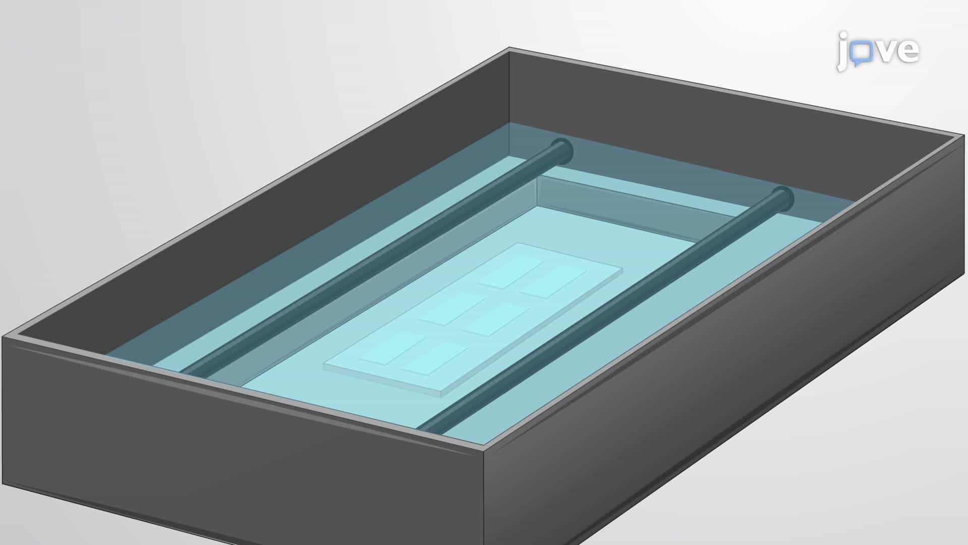 Single-Cell Western Blotting to Determine Cell Heterogeneity
