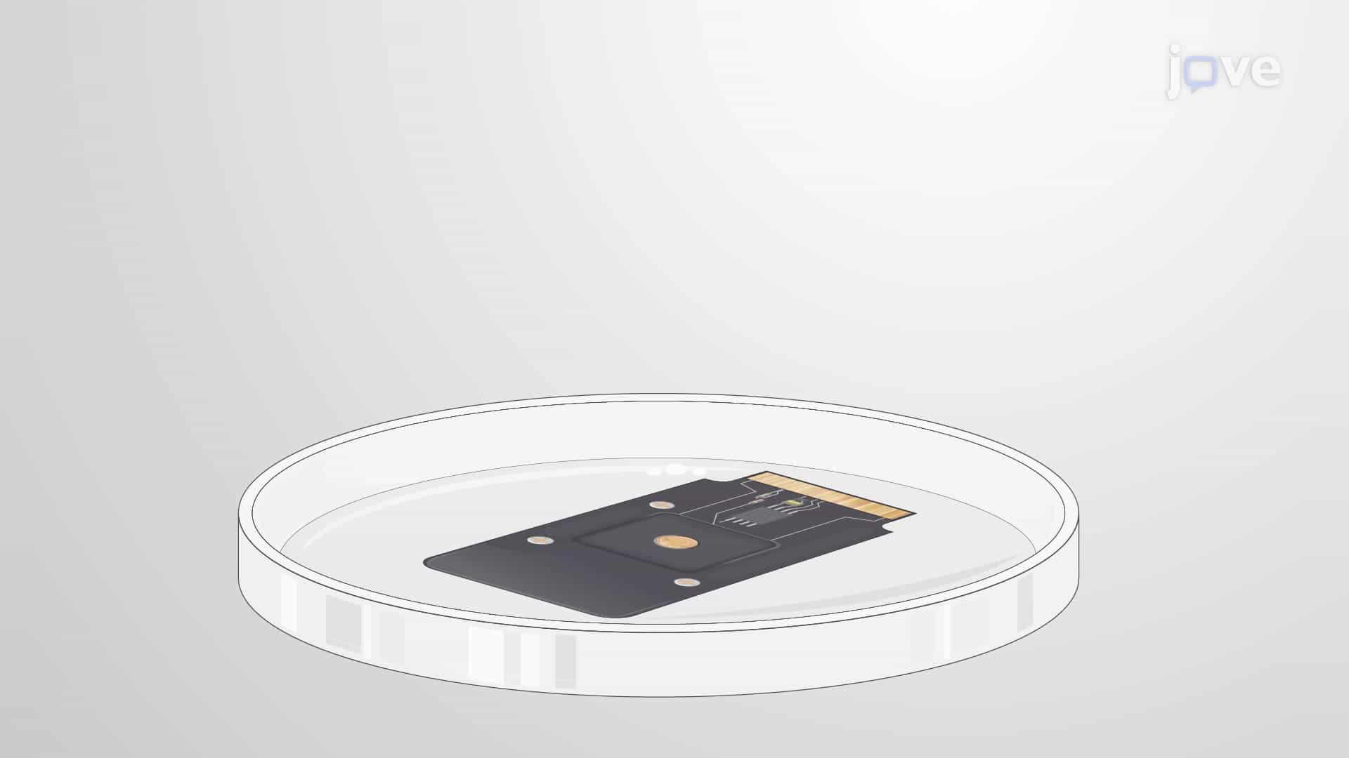 Graphene Biosensor-Based Field-Effect Biosensing to Detect Protein-Protein Interactions