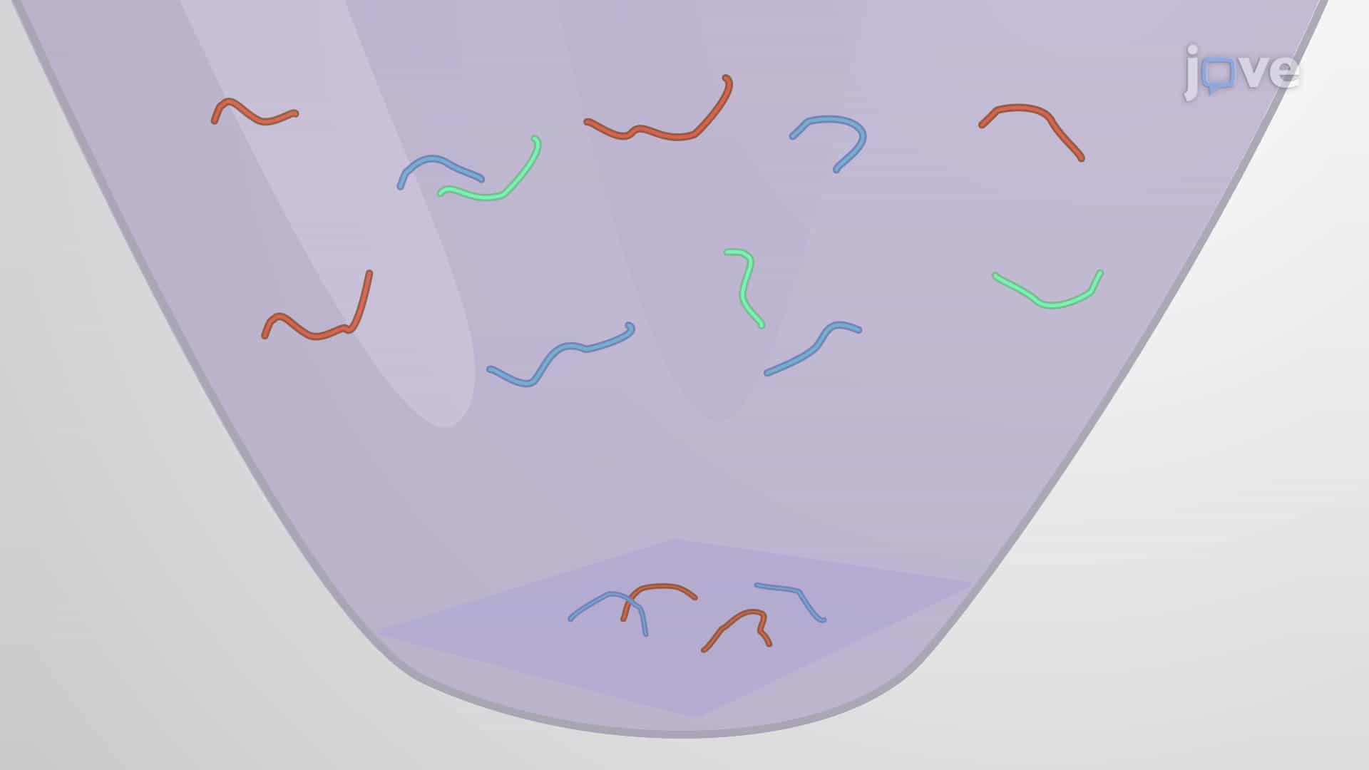 On-Membrane Protein Digestion to Prepare Co-Immunoprecipitated Proteins for Interaction Studies