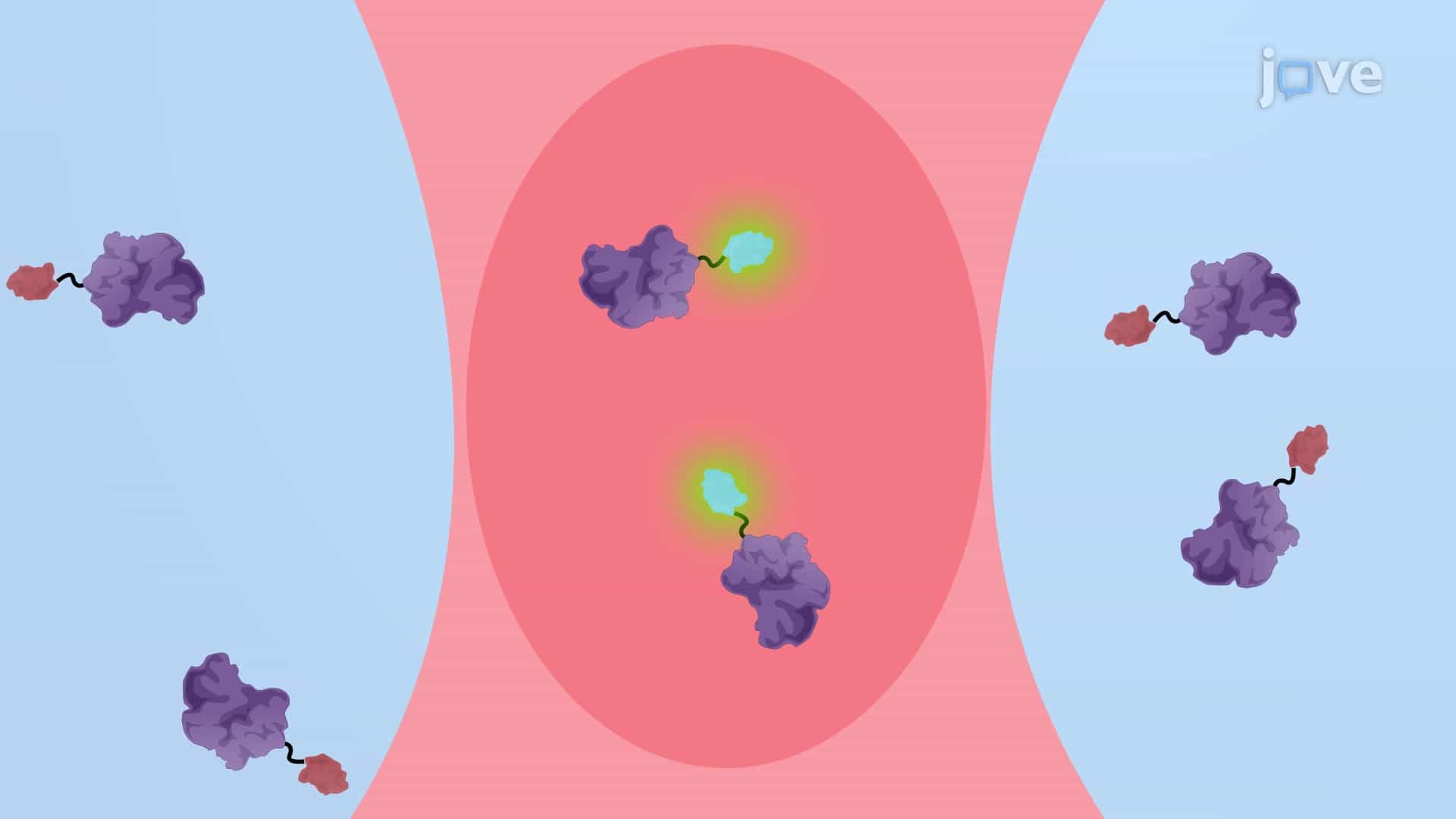 Fluorescence Fluctuation Spectroscopy to Study Protein Homo-Oligomerization