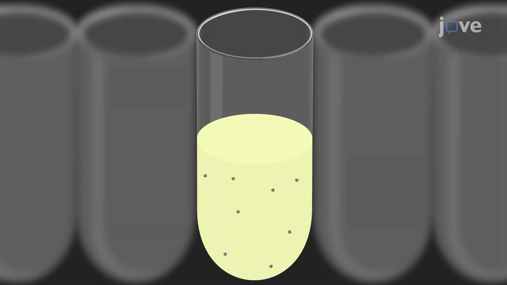 Modified Yeast-One Hybrid Assay to Detect Heteromeric Protein Complex-DNA Interactions