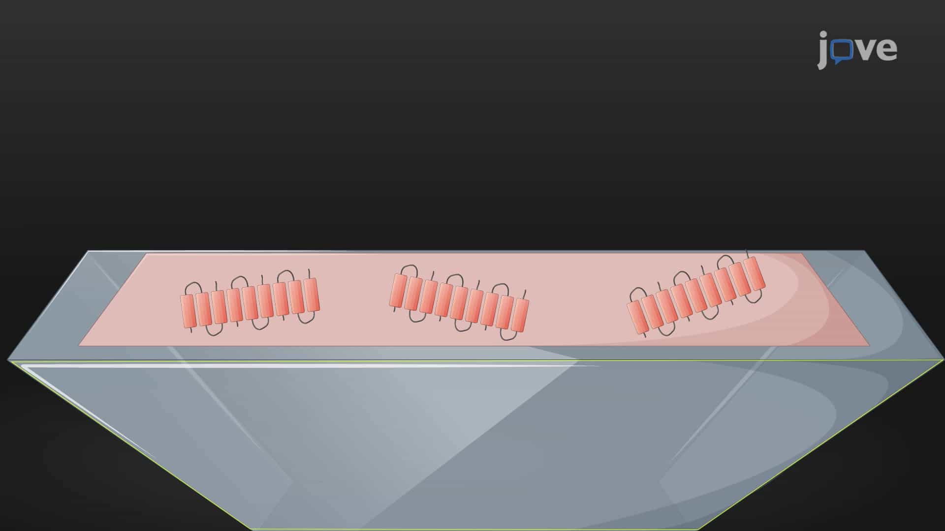 A Fourier Transform Infrared Spectroscopy Technique to Study Peptide Self-Assembly