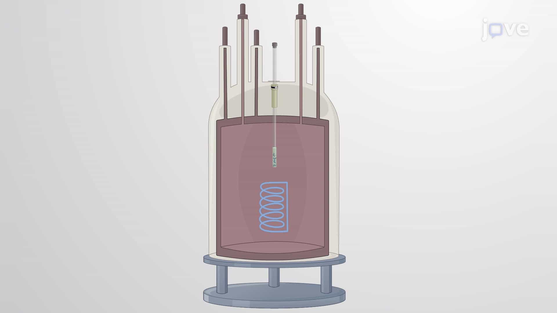 Nuclear Magnetic Resonance Spectroscopy to Identify Multiple Phosphorylations in Proteins