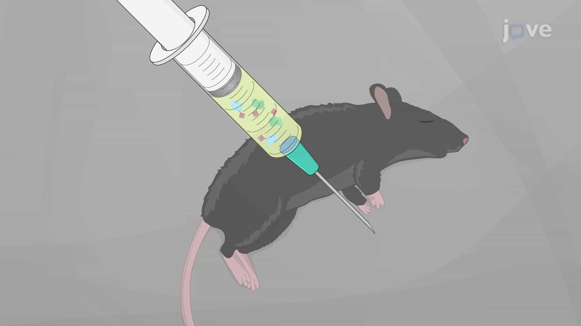 Evaluation of Vaccine-Induced Immunity Against Bacterial Infection in a Mouse Model