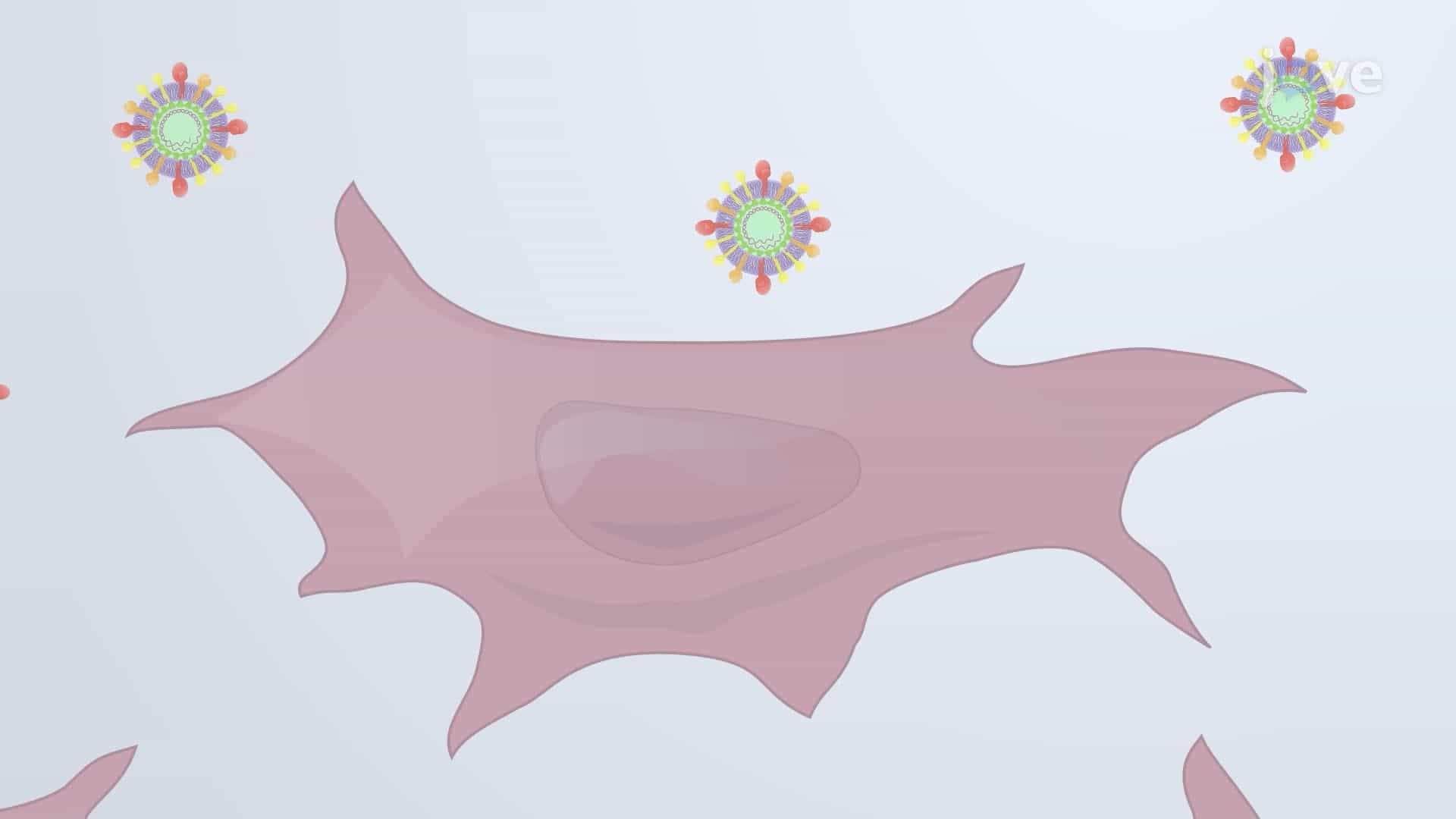 An In Vitro Recombinant Virus Reporter System for the Detection of Viral Infection