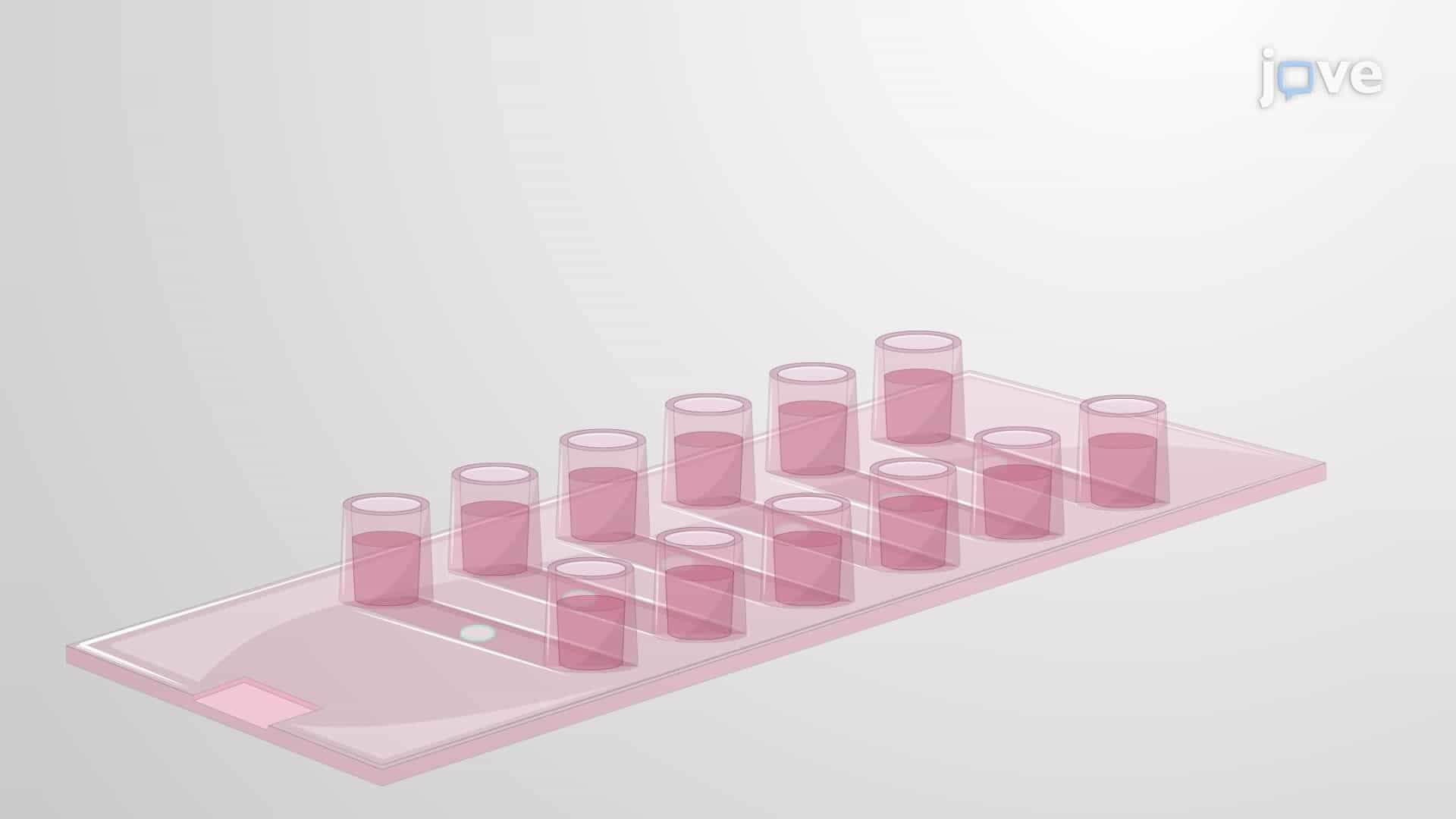 An In Vitro Technique to Study T Cell Interaction with Supported Planar Lipid Bilayers