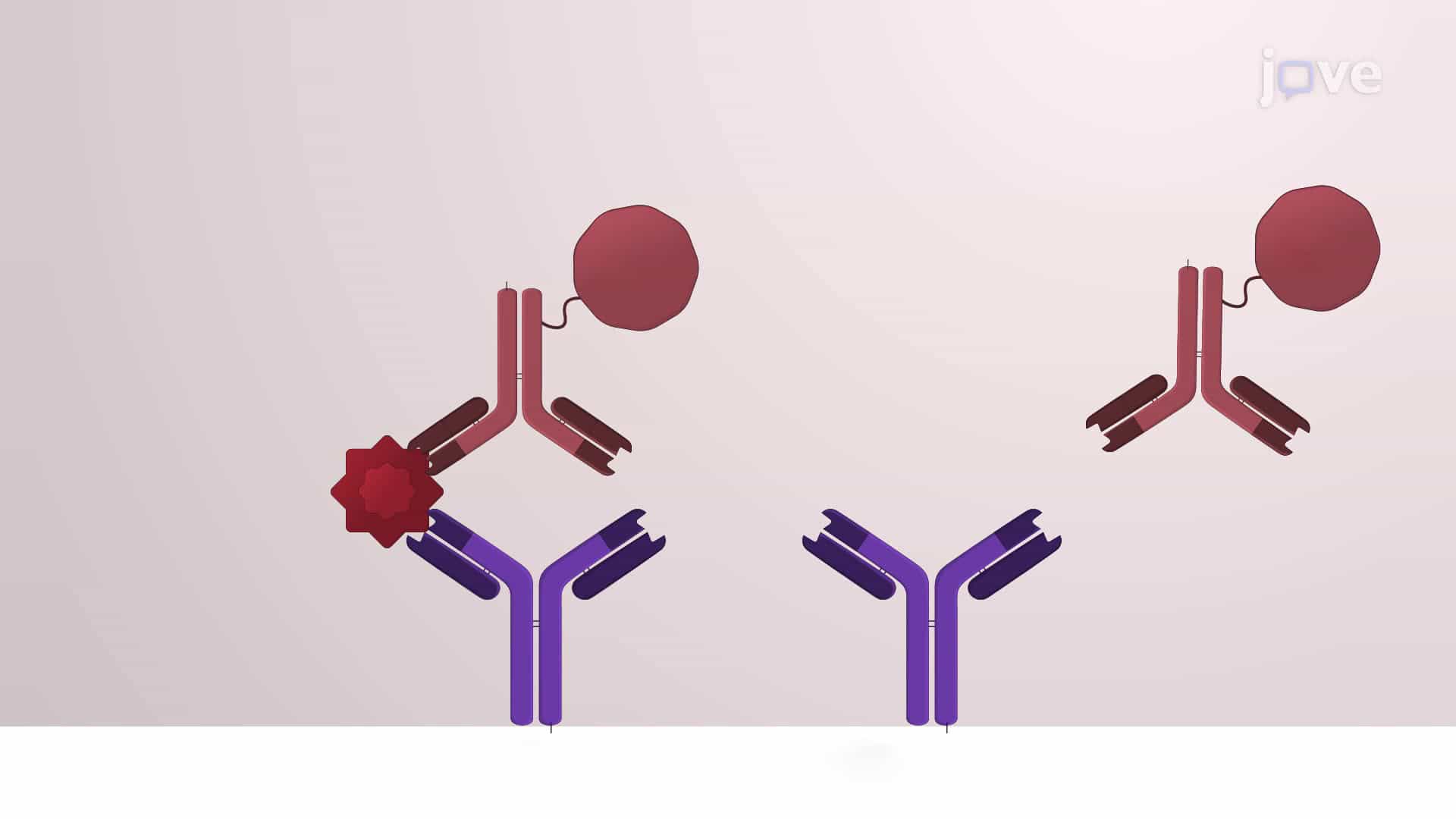Quantification of Immune Mediator Levels in Human Mucosal Lining Fluid