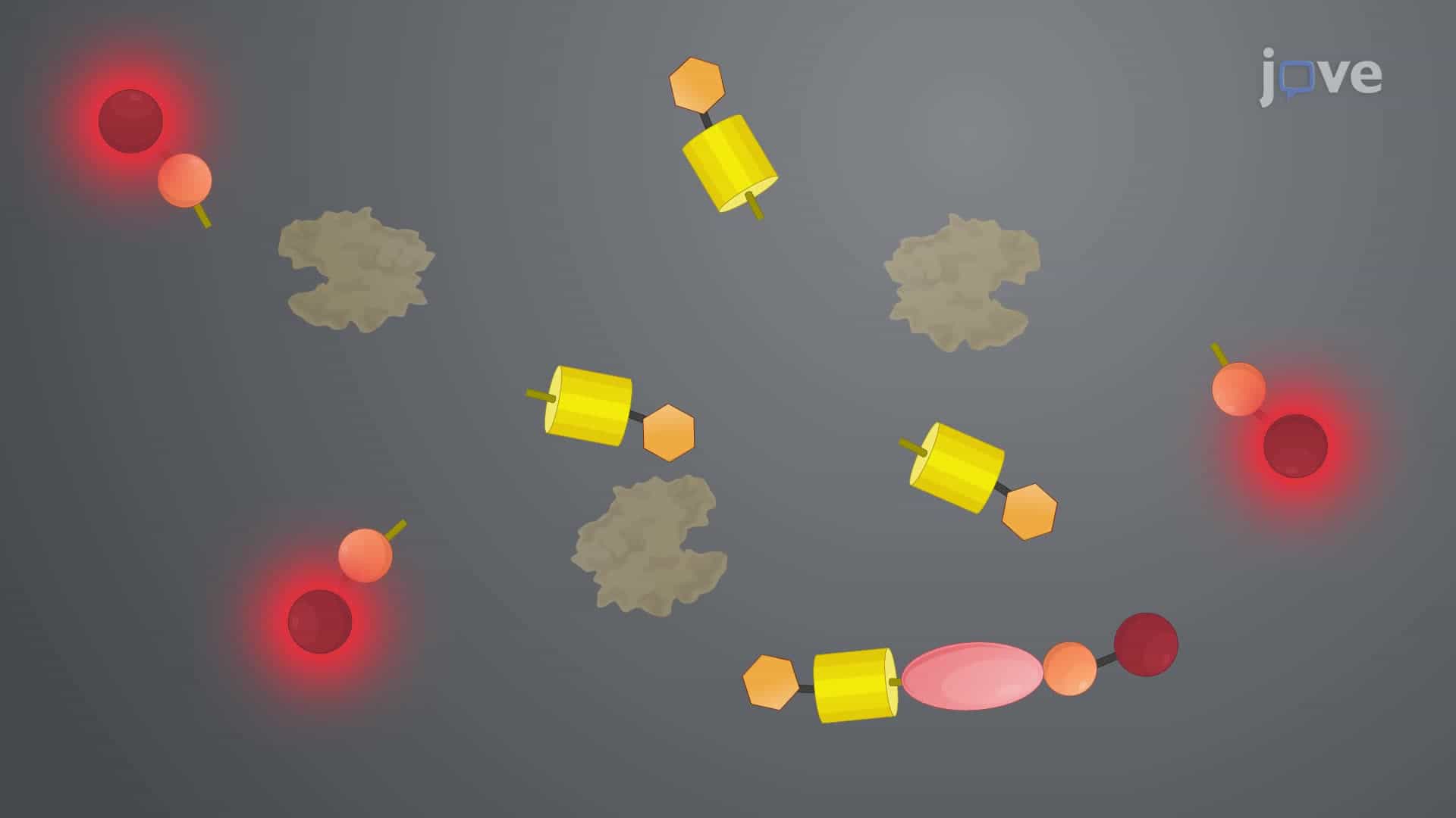 A Fluorogenic Peptide Cleavage Assay to Screen the Proteolytic Activity of Proteases