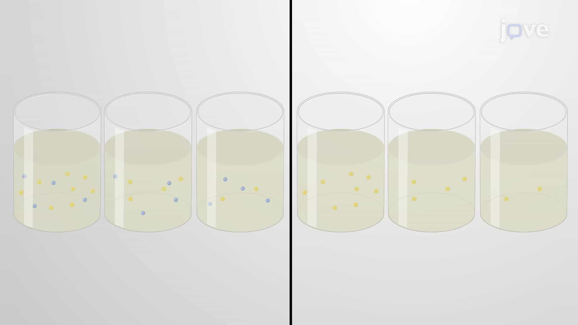A Microtiter Plate Method to Assess the Minimum Inhibitory Concentration of an Antibiotic