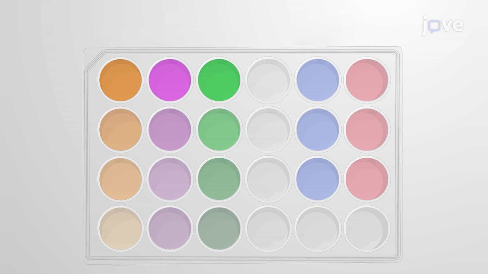 An In Vitro Broth Microdilution Assay for the Screening of Antifungal Compounds