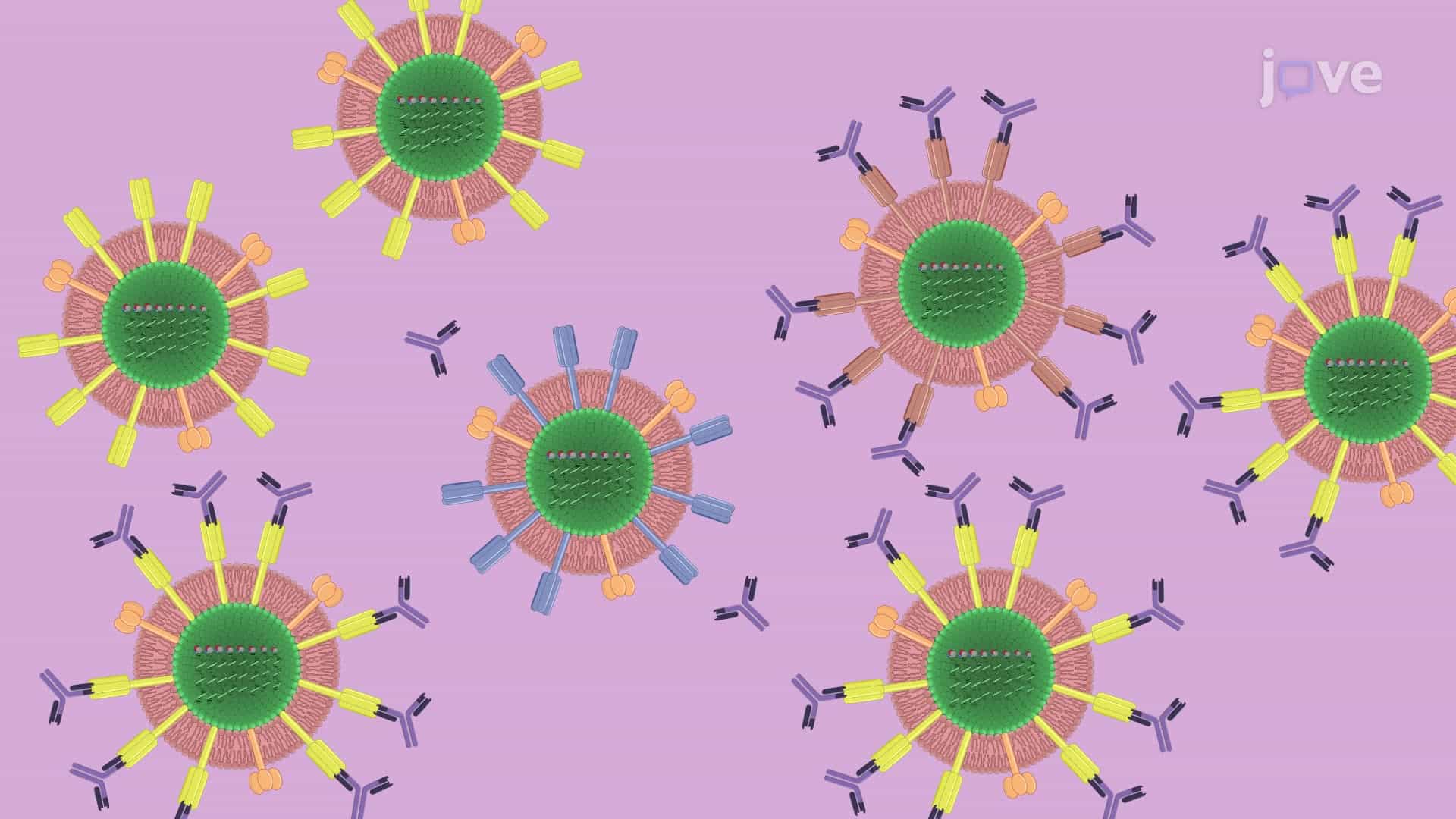 Generation of Influenza Virus Escape Variants against Neutralizing Antibodies
